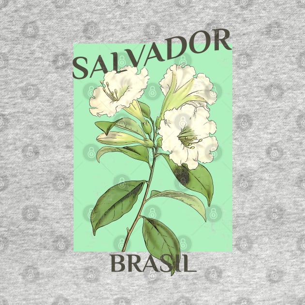 Salvador Brazil Floral Illustration by Pico Originals